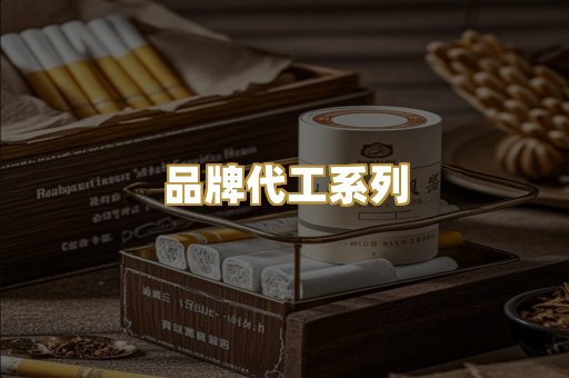 品牌代工系列